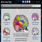 braininjuryhelp.com