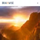 brainwise.it