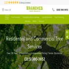 branchestreeservice.com