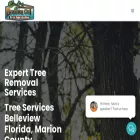 branchingouttreespecialist.com branchingouttreespecialist.com