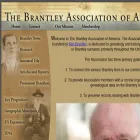 brantleyassociation.com