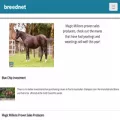 breednet.com.au