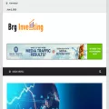 brginvesting.com