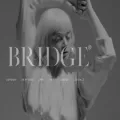 bridgeagency.com