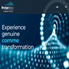 bridgeviewls.com