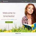 briemedia.com