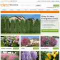 brighterblooms.com brighterblooms.com