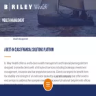 brileywealth.com