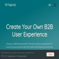 briqpay.com