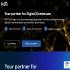 britesys.com britesys.com