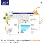 brizodata.com