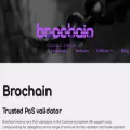 brocha.in