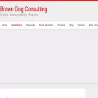 browndogconsulting.com browndogconsulting.com