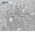 bruinconsulting.org