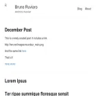 brunoruviaro.github.io brunoruviaro.github.io