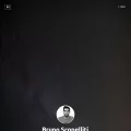 brunoscopelliti.com