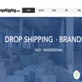 bsdropshipping.com