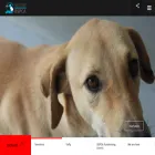 bspca.org bspca.org