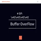 bufferoverflows.net