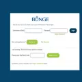 bungeservices.com