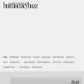 bureaucracybuzz.com
