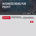 businessnewsforprofit.com