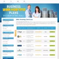businesswebhostingplans.com
