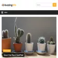 buzzinginfo.com buzzinginfo.com