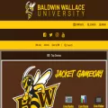 bwyellowjackets.com