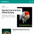 cacanhmini.com