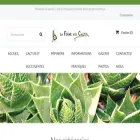 cactus-et-palmiers.fr