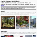 cactus.store cactus.store