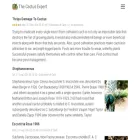 cactusexpert.org cactusexpert.org