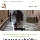 cahababeachdogpark.com cahababeachdogpark.com