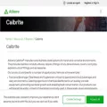 calbrite.com