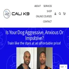 calik9.com