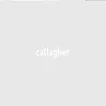 callagher.com.au