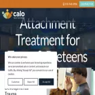 caloprograms.com caloprograms.com