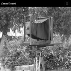 cameraeccentric.com