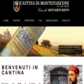cantinamontefiascone.it