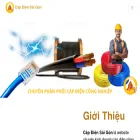 capdiensaigon.com