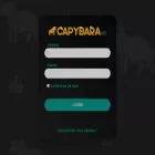capybarabr.com capybarabr.com
