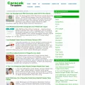 caracekterupdate.com caracekterupdate.com