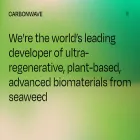 carbonwave.com