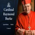 cardinalburke.com