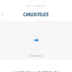 carlosfelice.com.ar