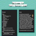 carlsensei.com