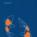 carper.ai