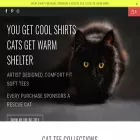 catbandit.com catbandit.com