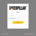 catdealer.com